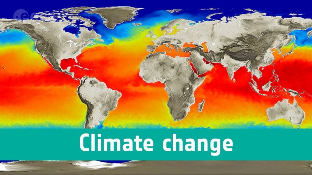 Is Climate Change Real? 